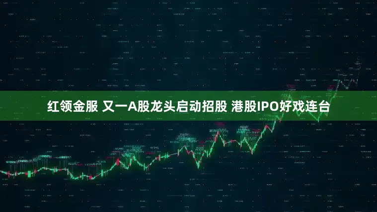 红领金服 又一A股龙头启动招股 港股IPO好戏连台
