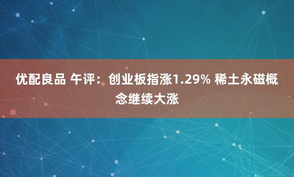 优配良品 午评：创业板指涨1.29% 稀土永磁概念继续大涨
