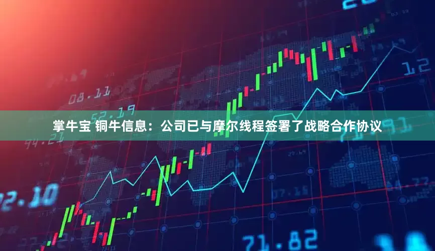掌牛宝 铜牛信息：公司已与摩尔线程签署了战略合作协议