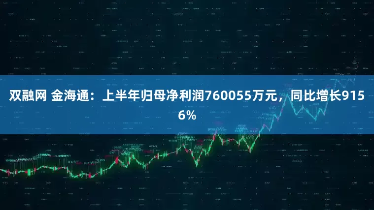双融网 金海通：上半年归母净利润760055万元，同比增长9156%